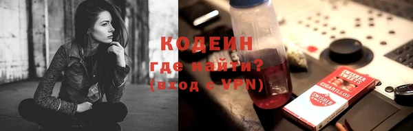 spice Болотное