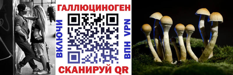 Псилоцибиновые грибы Psilocybe  Энем 